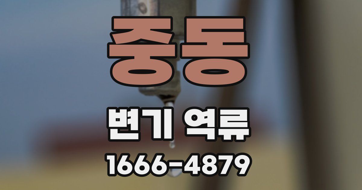중동 변기 역류