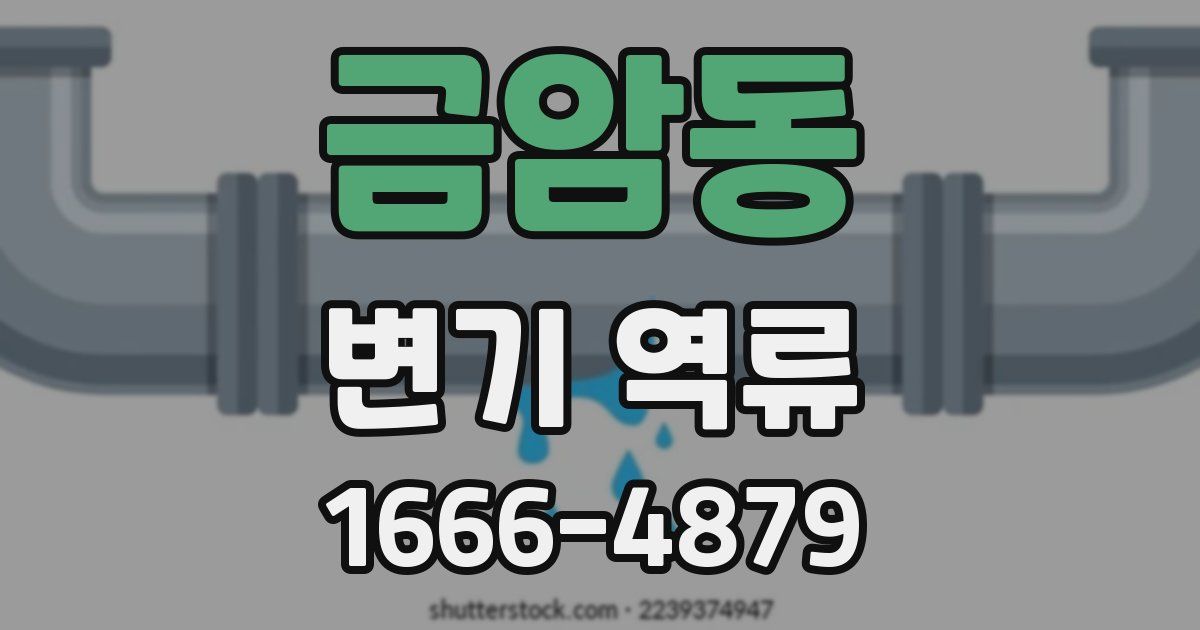 금암동 변기 역류