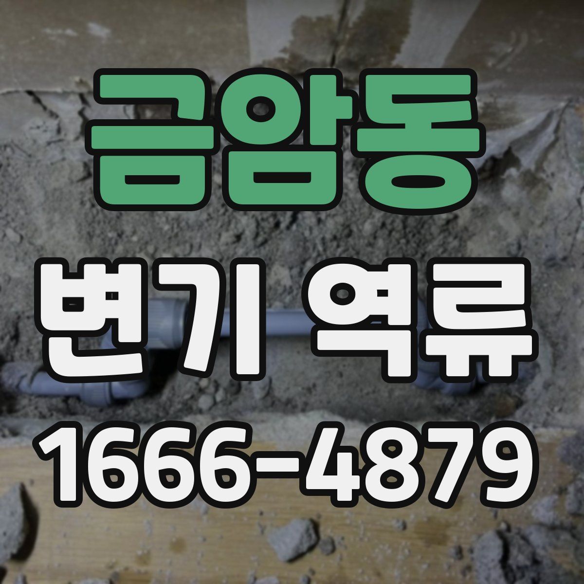금암동 변기 역류