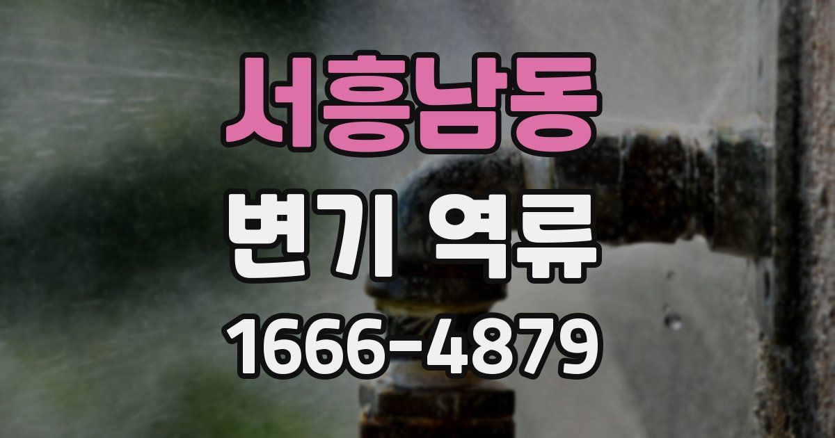 서흥남동 변기 역류