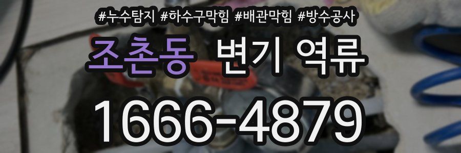조촌동 변기 역류