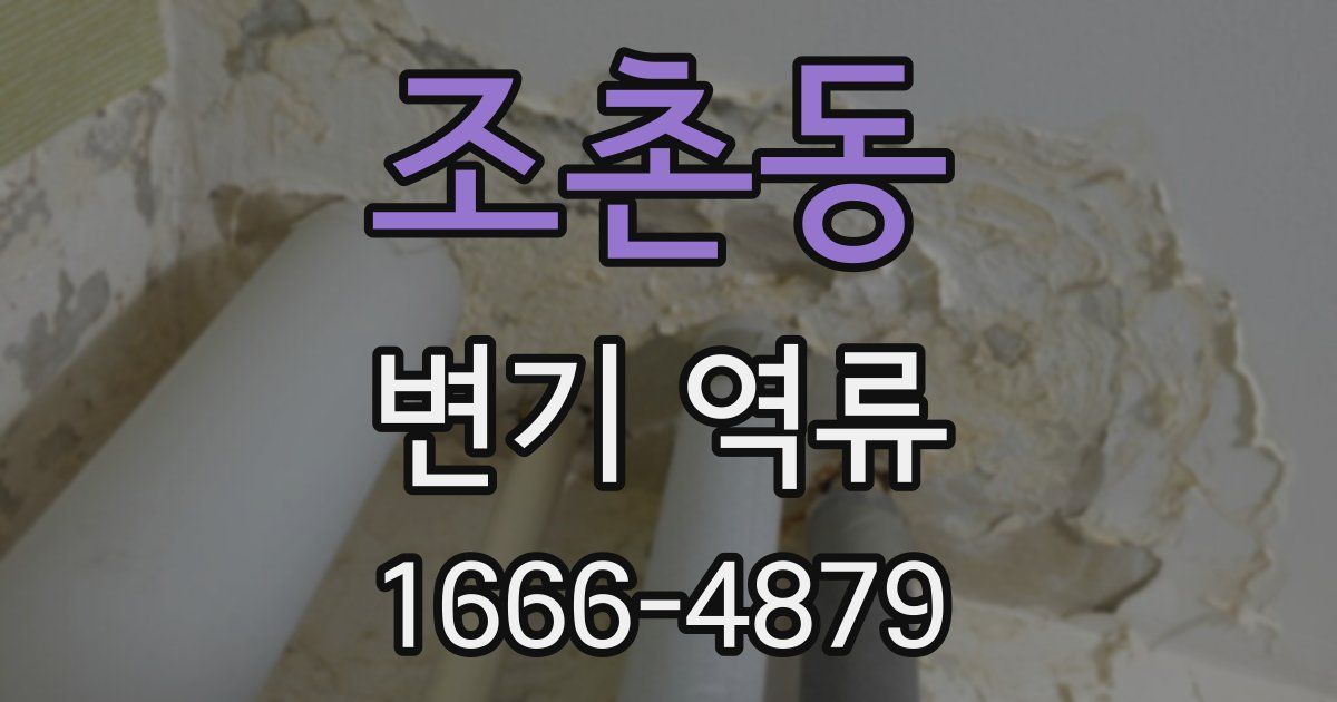 조촌동 변기 역류