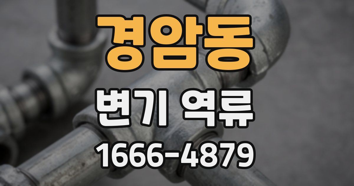 경암동 변기 역류