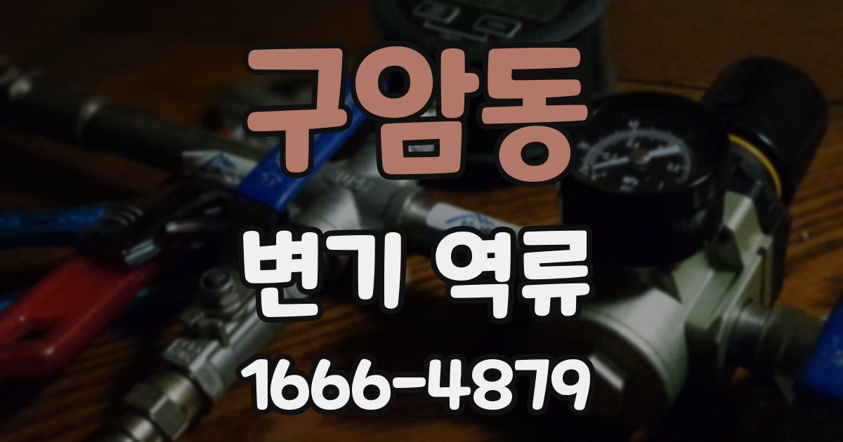 구암동 변기 역류