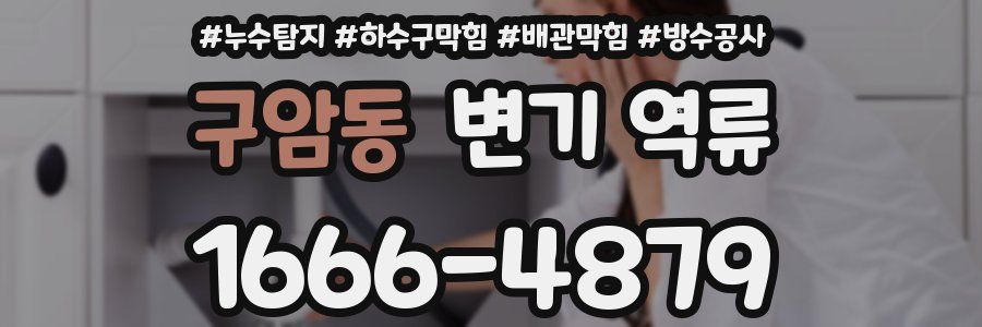 구암동 변기 역류