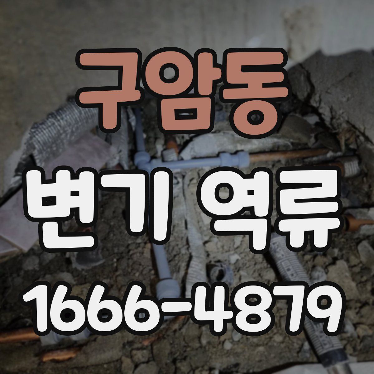 구암동 변기 역류