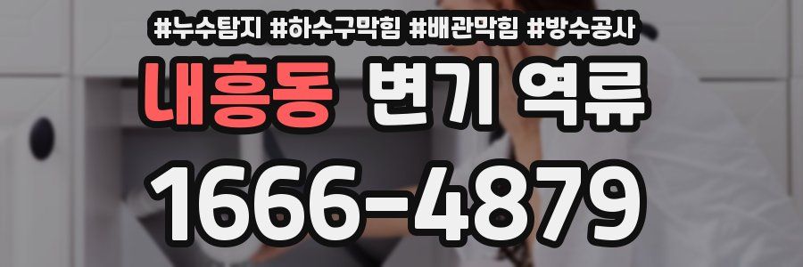 내흥동 변기 역류