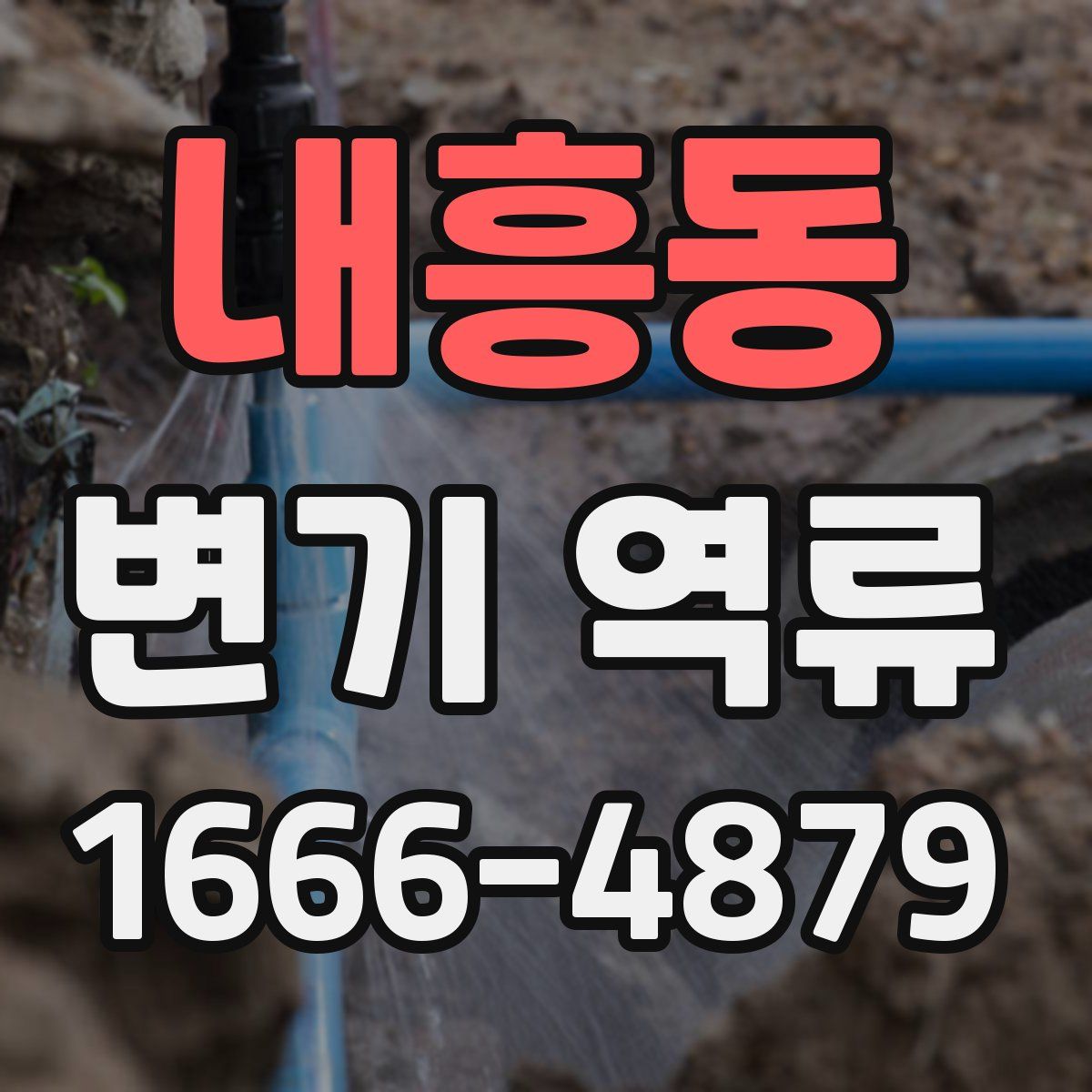 내흥동 변기 역류