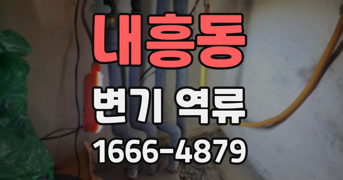내흥동 변기 역류
