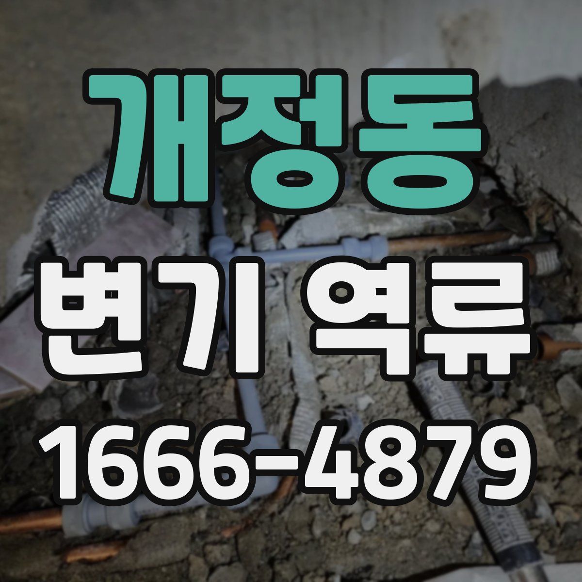 개정동 변기 역류