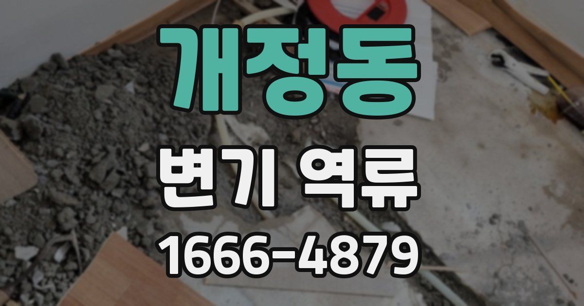 개정동 변기 역류