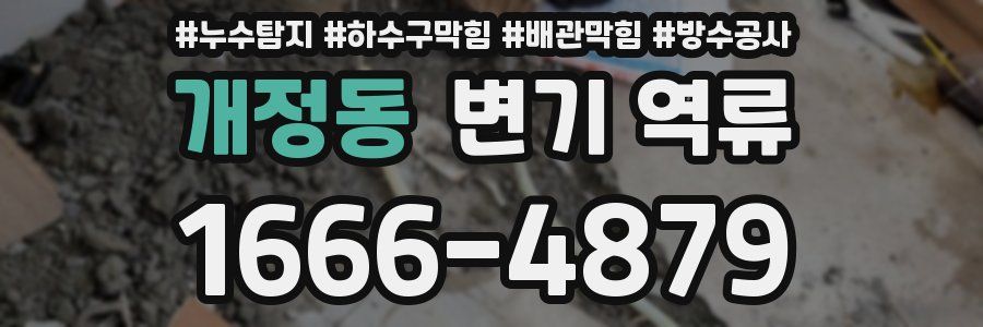 개정동 변기 역류