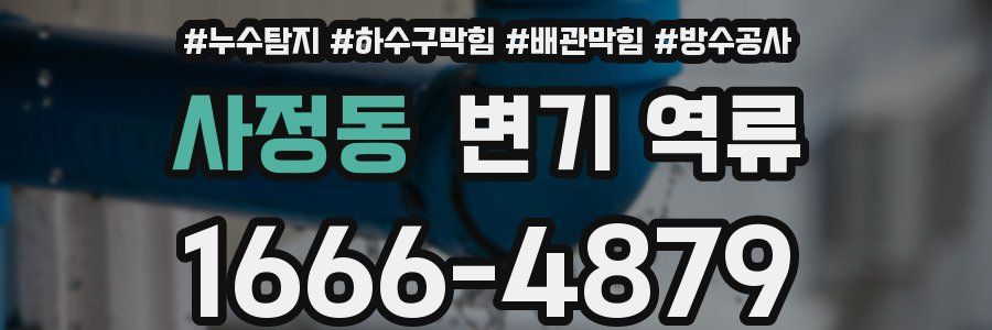 사정동 변기 역류