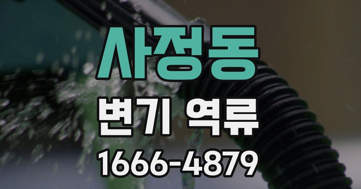 사정동 변기 역류