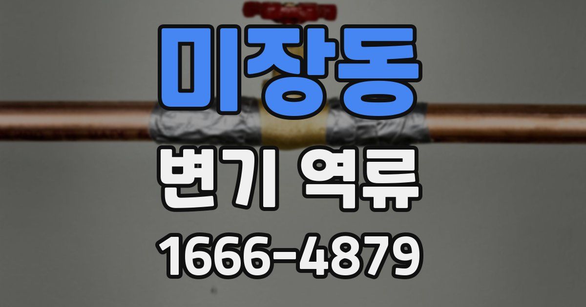 미장동 변기 역류