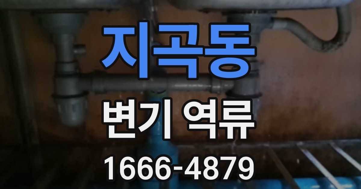 지곡동 변기 역류