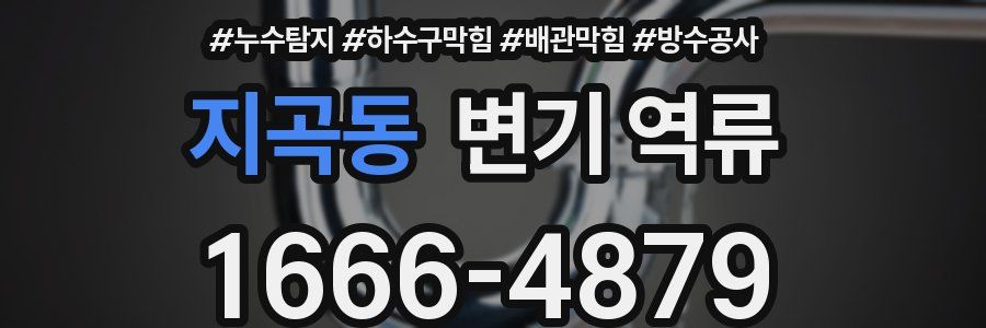 지곡동 변기 역류
