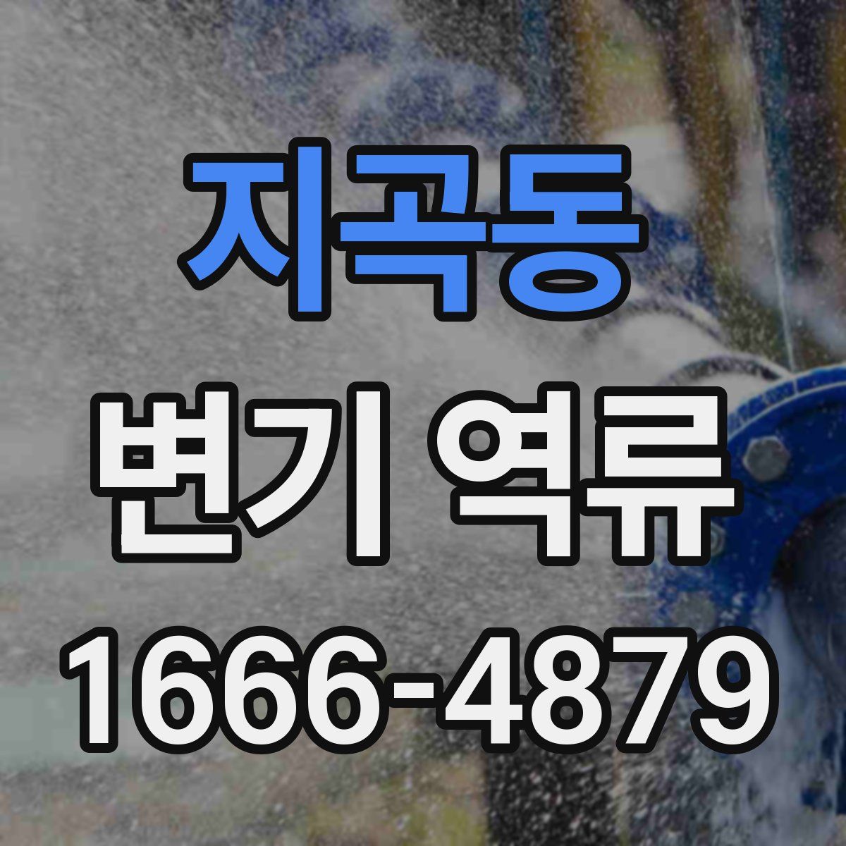 지곡동 변기 역류