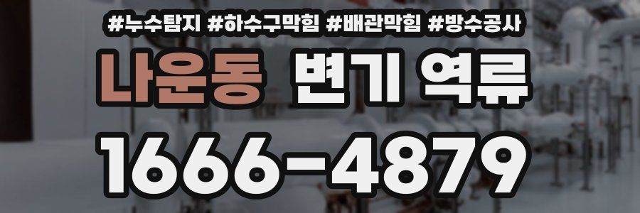 나운동 변기 역류