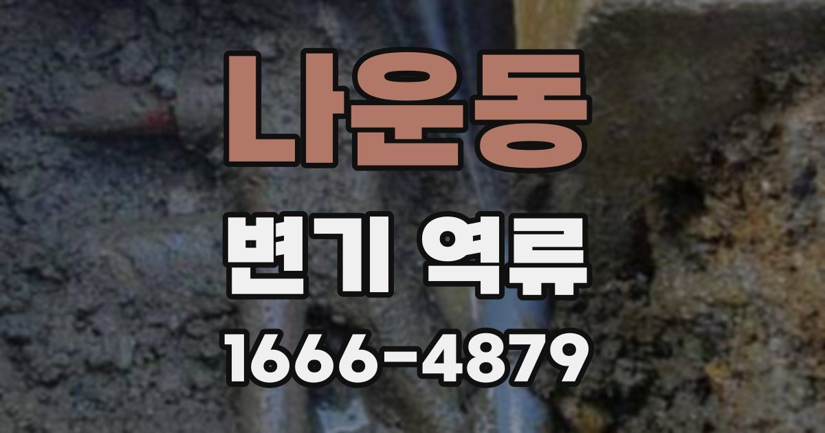 나운동 변기 역류