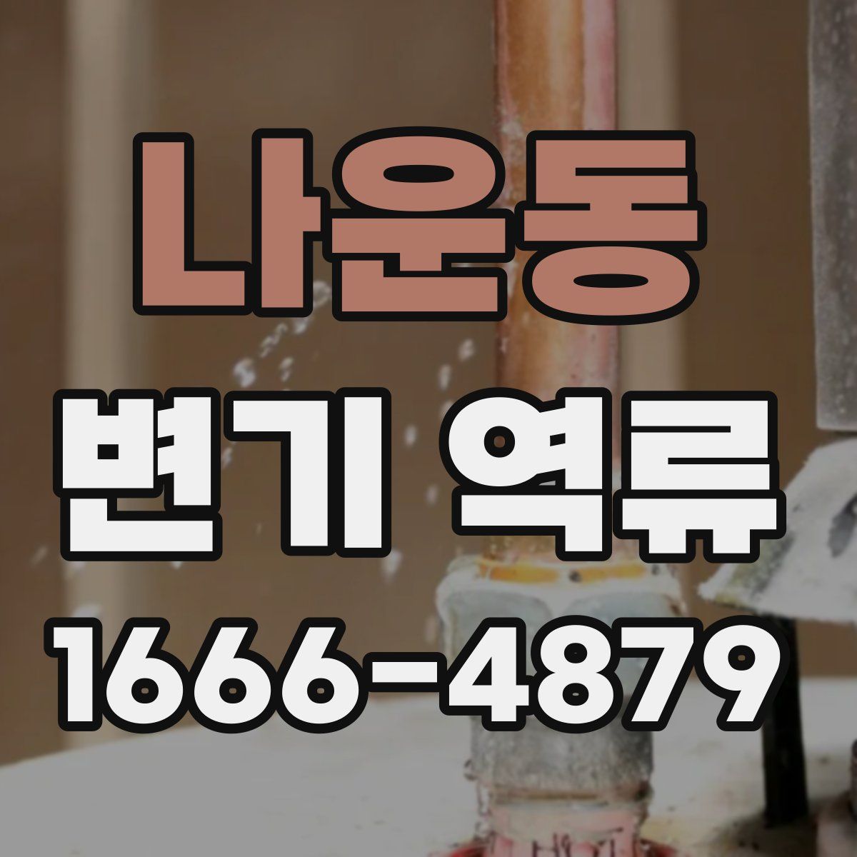 나운동 변기 역류
