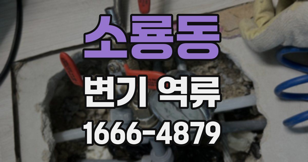 소룡동 변기 역류