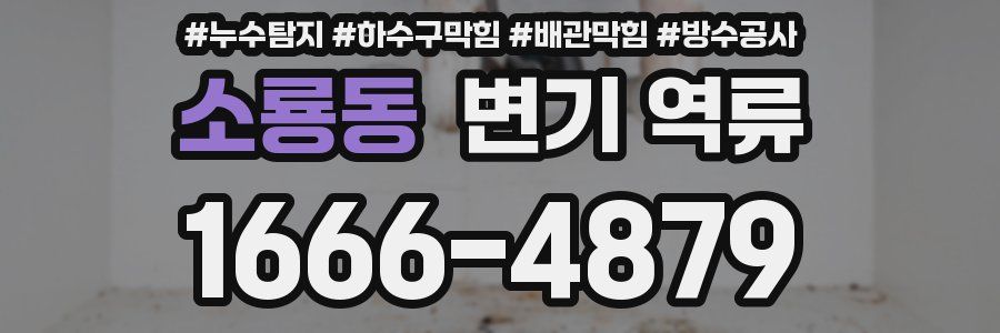 소룡동 변기 역류