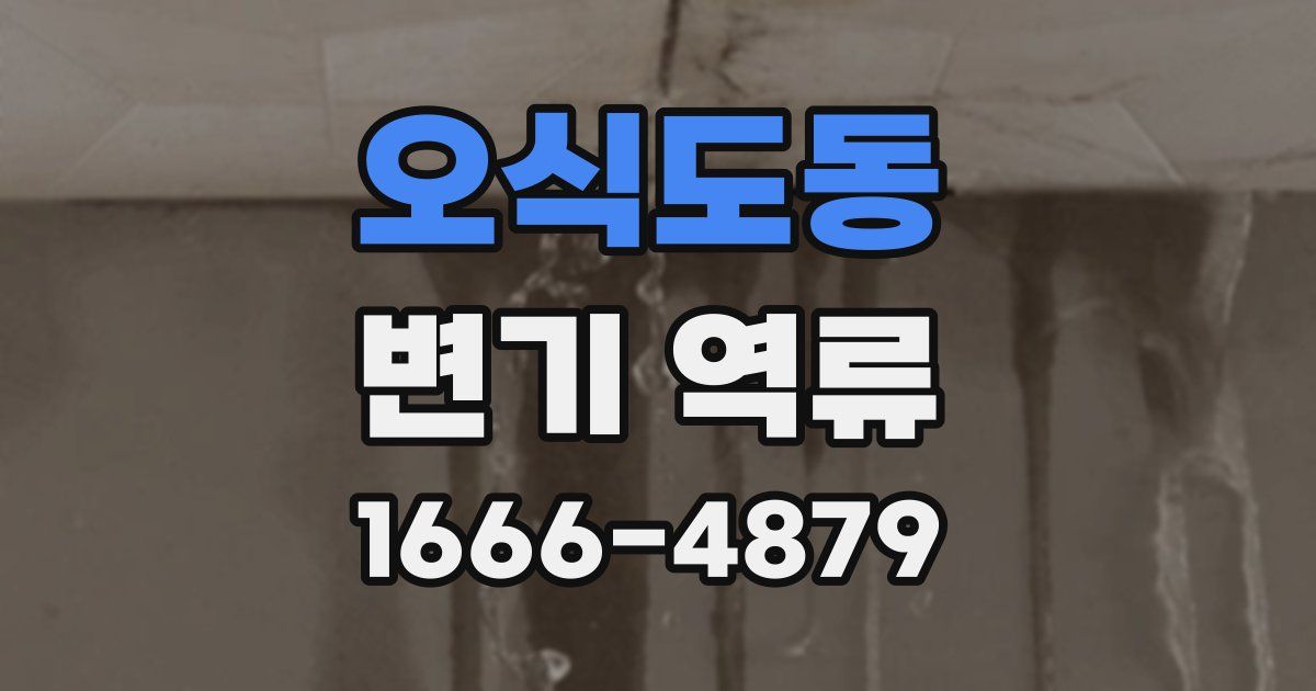 오식도동 변기 역류