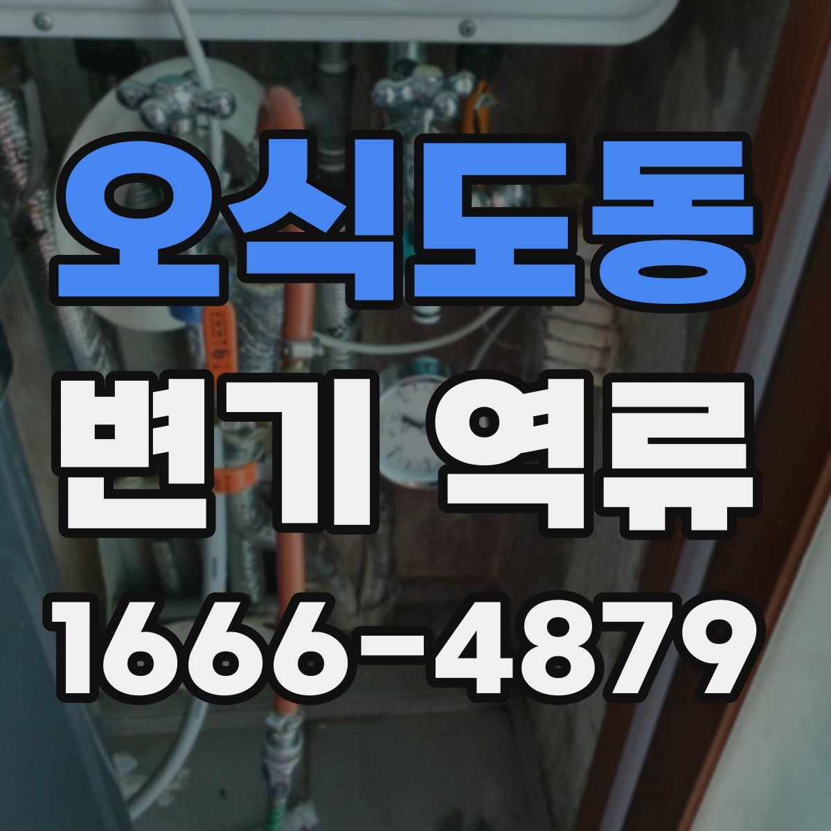 오식도동 변기 역류