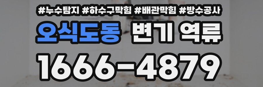 오식도동 변기 역류
