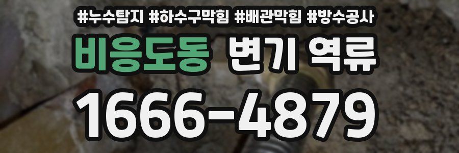 비응도동 변기 역류