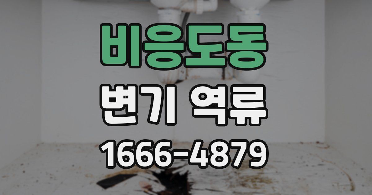 비응도동 변기 역류
