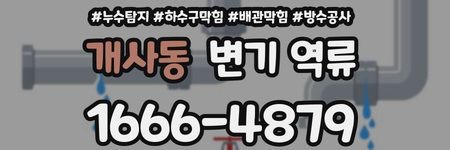 개사동 변기 역류