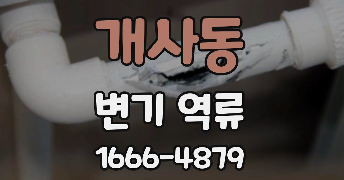개사동 변기 역류