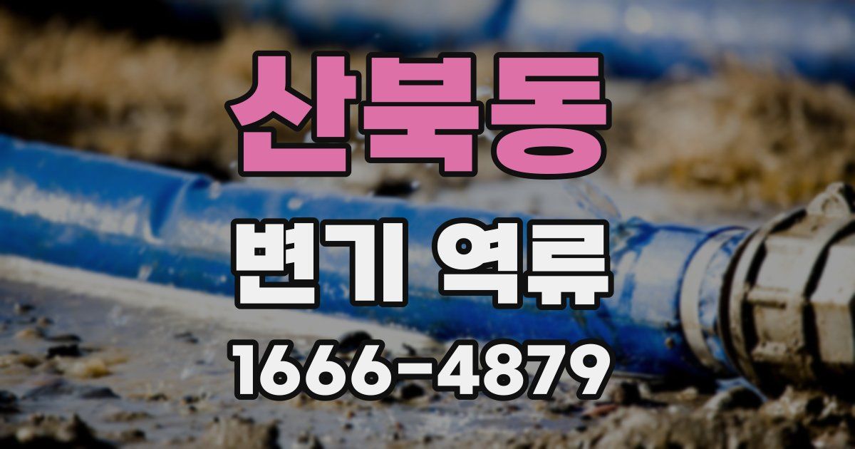 산북동 변기 역류