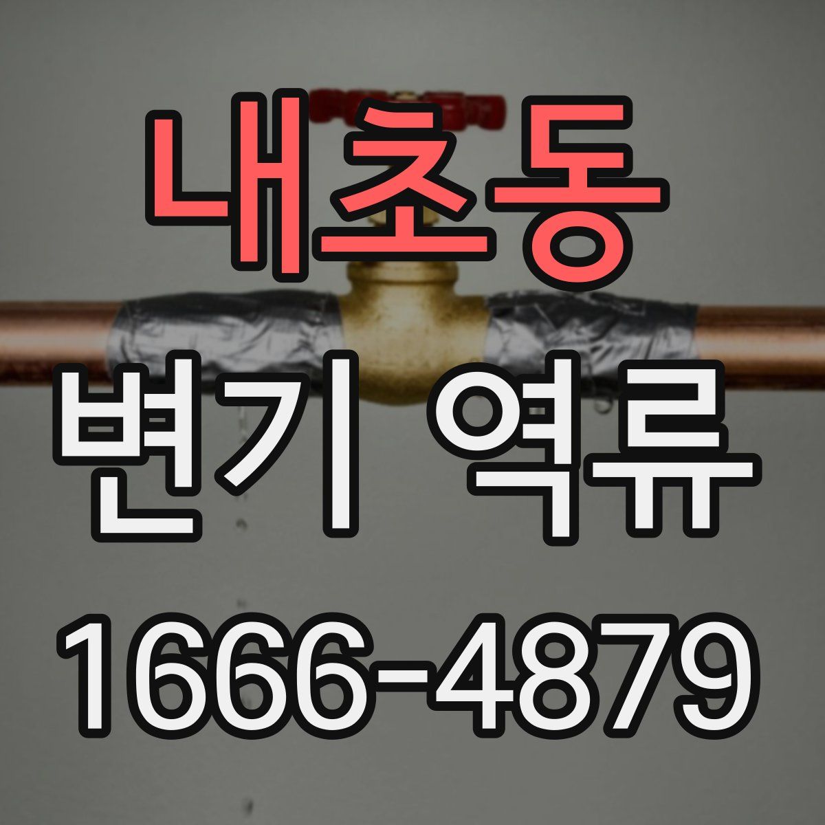 내초동 변기 역류