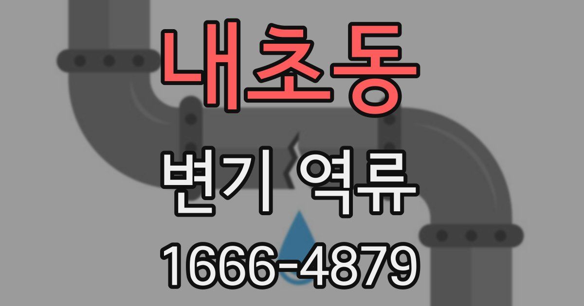 내초동 변기 역류