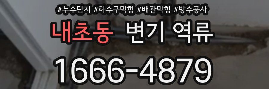 내초동 변기 역류