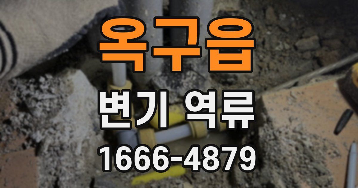 옥구읍 변기 역류