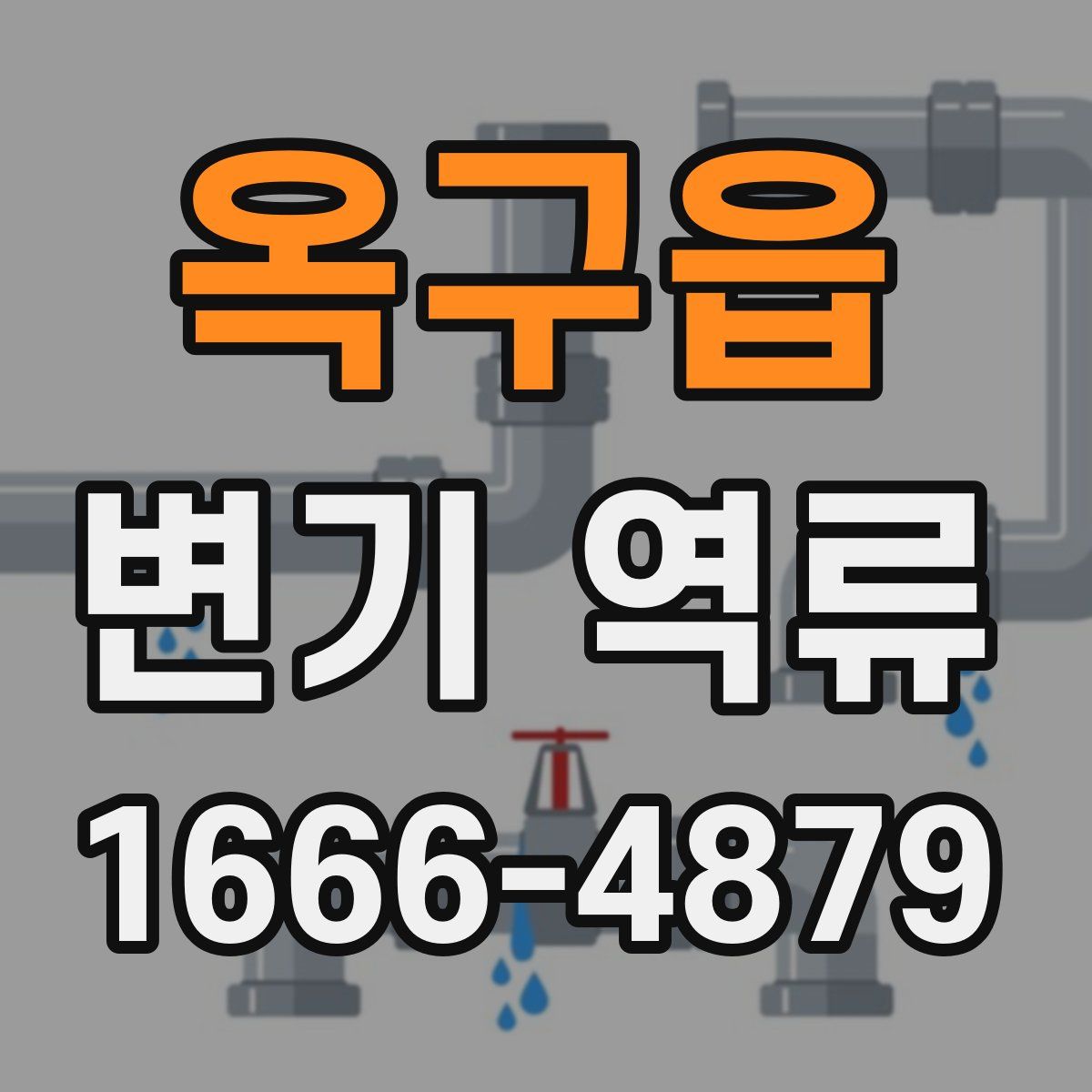 옥구읍 변기 역류