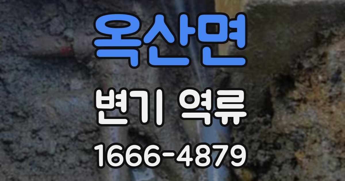 옥산면 변기 역류