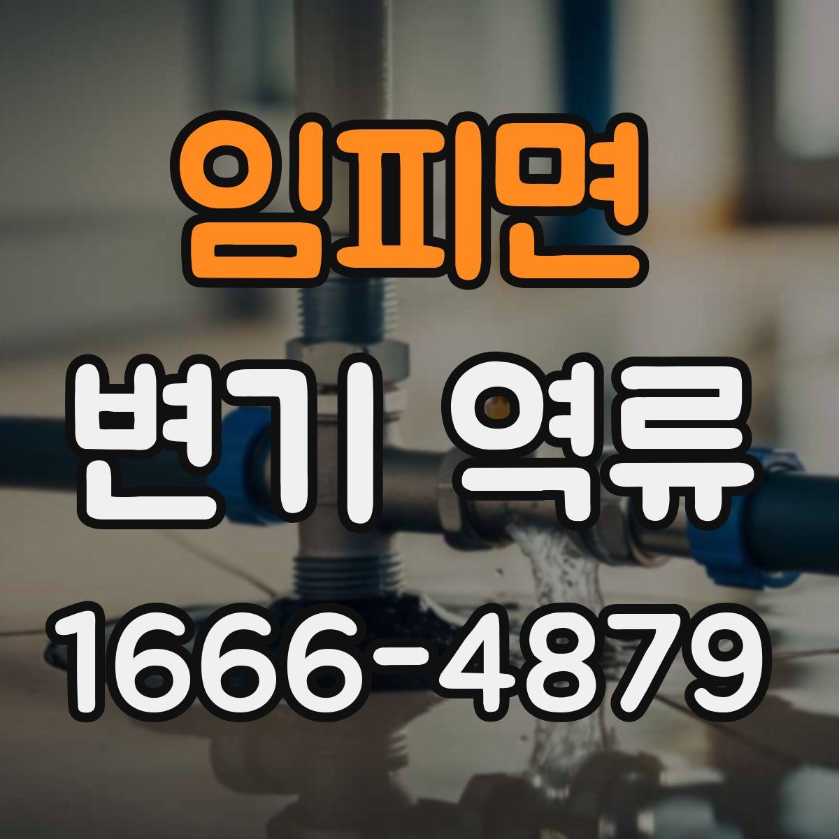 임피면 변기 역류