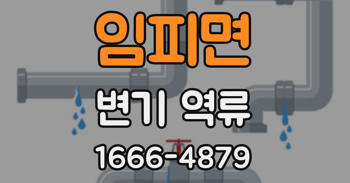 임피면 변기 역류