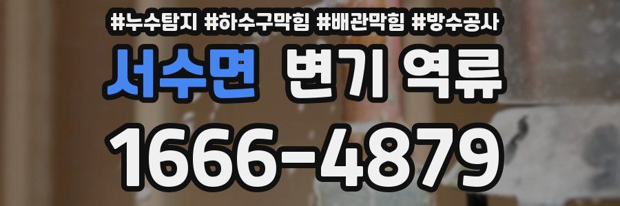 서수면 변기 역류