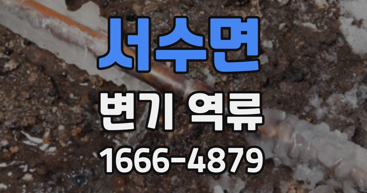 서수면 변기 역류