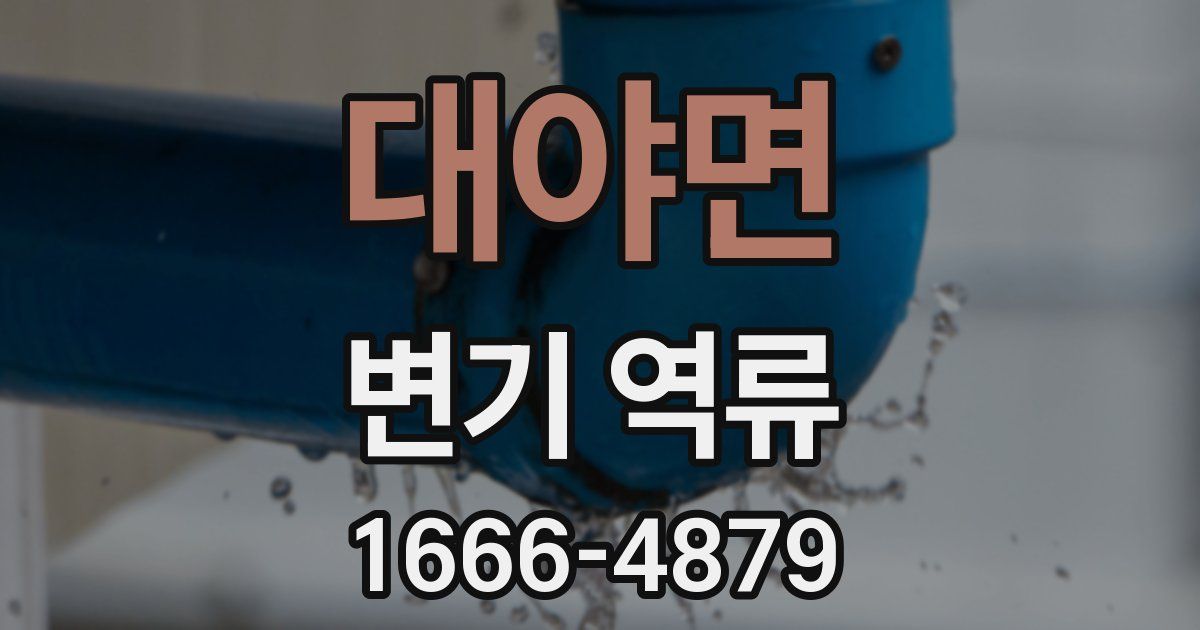 대야면 변기 역류