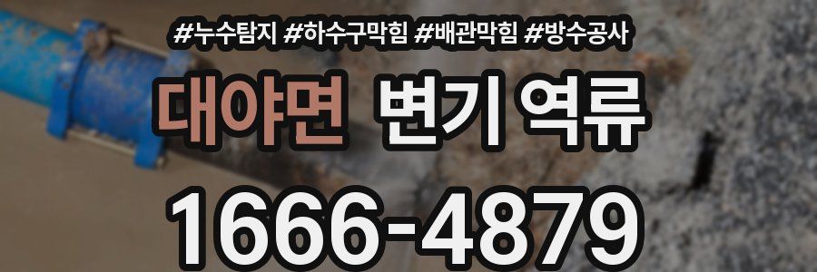 대야면 변기 역류