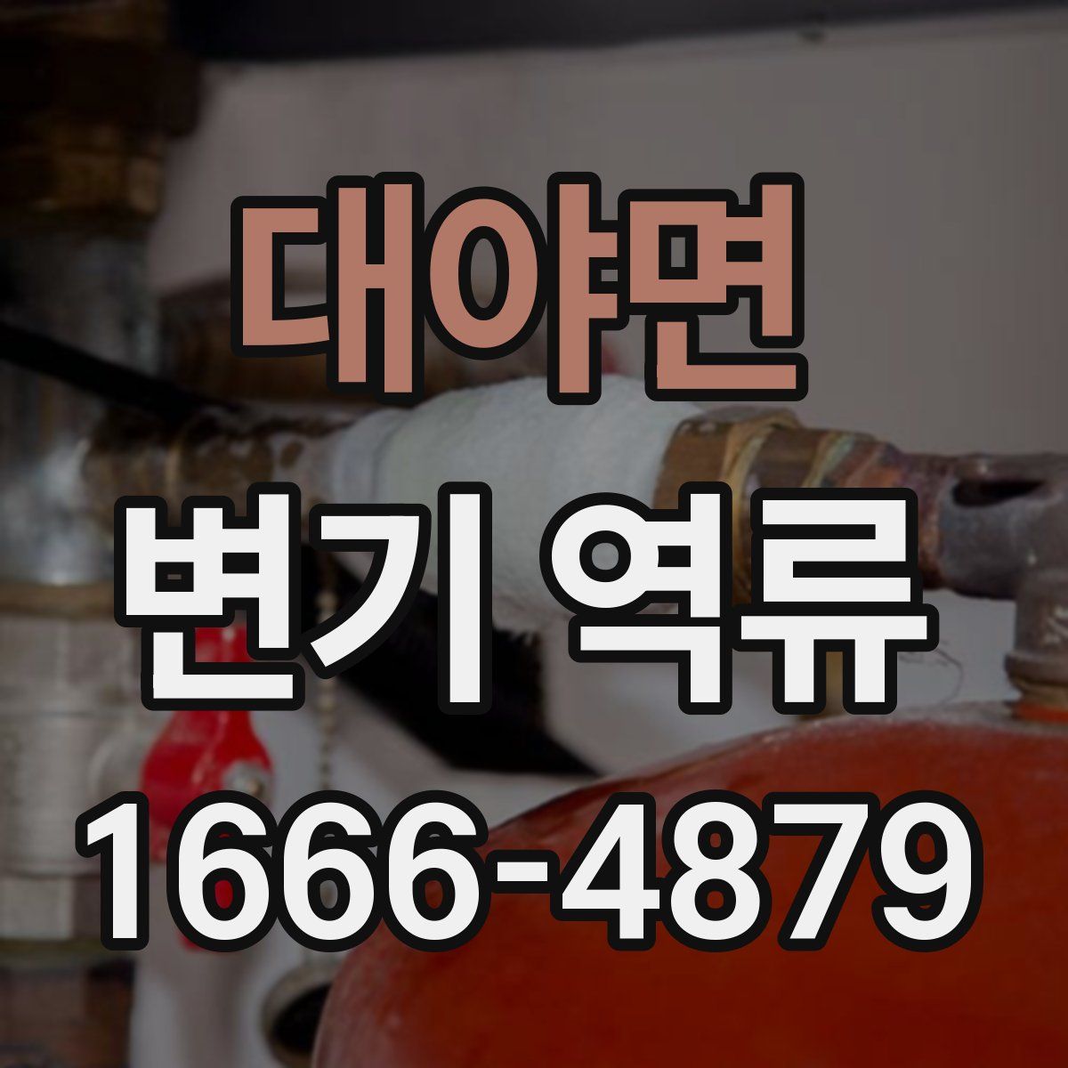 대야면 변기 역류