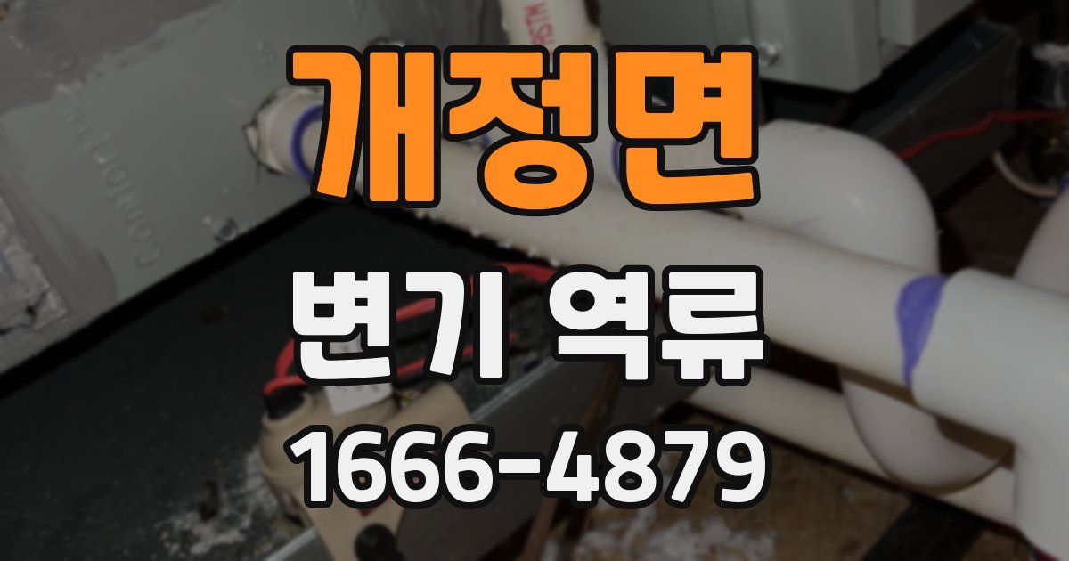 개정면 변기 역류