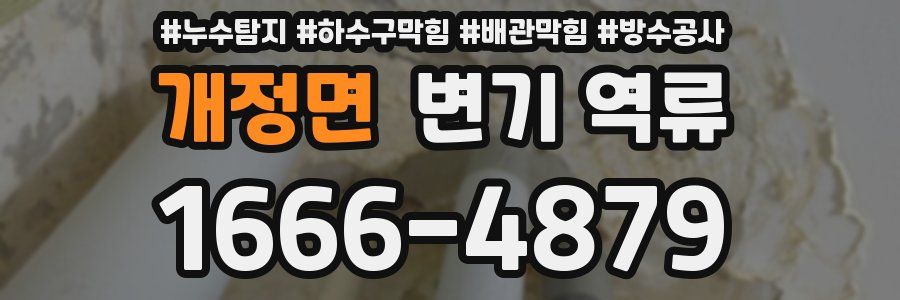 개정면 변기 역류